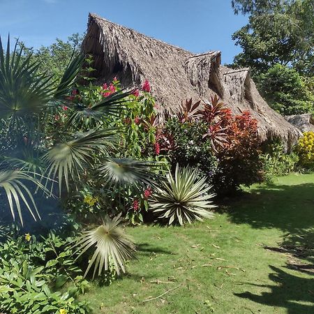 Sexto Sentido Cabanas & Pan Frances Palomino Exterior photo